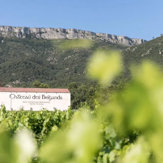 Château des Brigands - Pourcieux