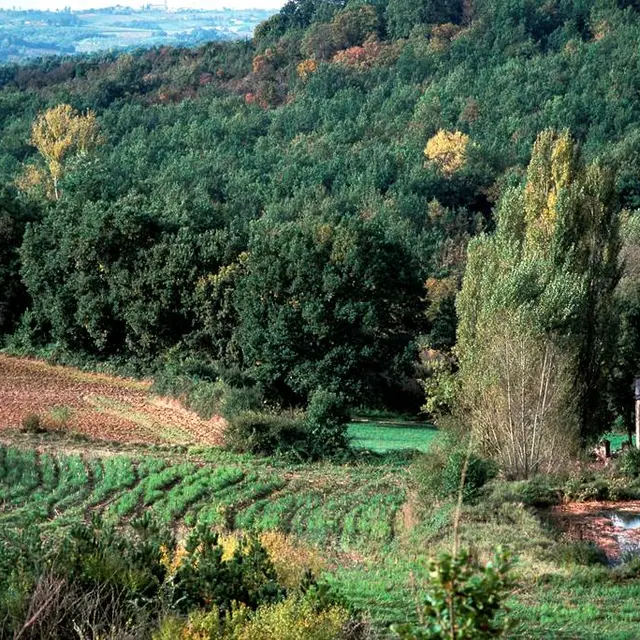 Chapelle St Sernin du Bosc