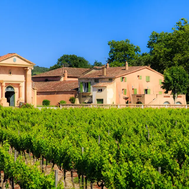 Vignoble Domaine de Bertaud-Belieu_Gassin