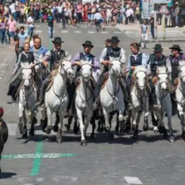 Feria - Concours d’abrivados_Alès