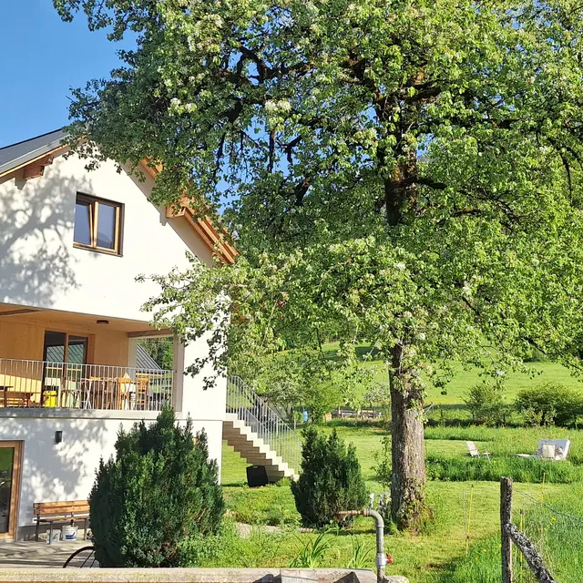 Vue générale - Gîte des Grands Prés - M. et Mme Renard_Le Châtelard