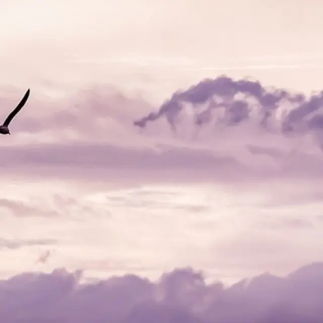 Printemps des Poètes : rencontre musicale et poétique_Sainte-Maxime