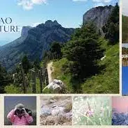 Capao Nature