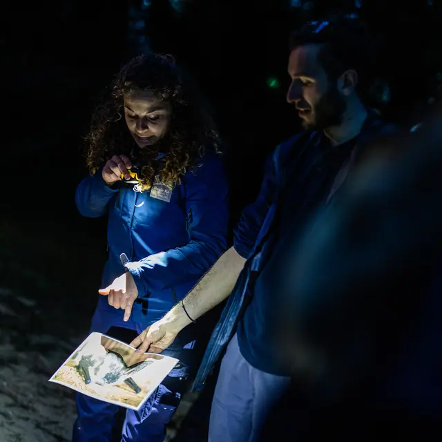 Sortie nature avec un écogarde : Safari nocturne_La Flotte