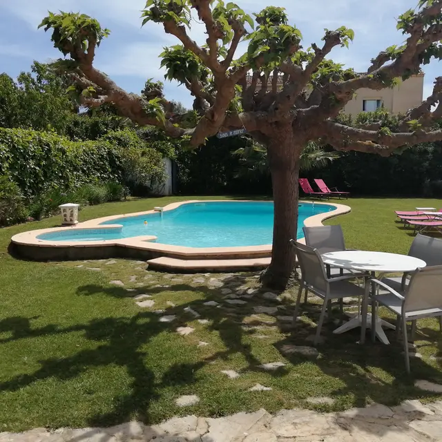Chambre d'hôtes Sous le Murier - Jardin et piscine
