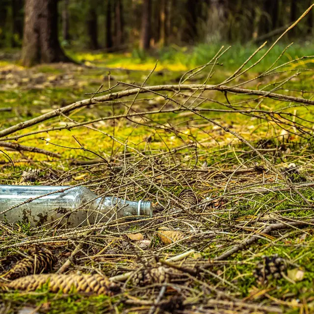Collecte de déchets à la Faucille avec Mountain Riders_Gex