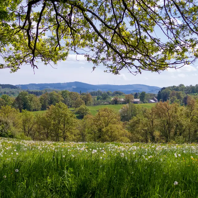 Randonnée gourmande chez un héliciculteur local à Nizerolles_Nizerolles