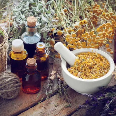 Retrouvez votre équilibre naturellement - Bilan naturopathie_Faverges-Seythenex