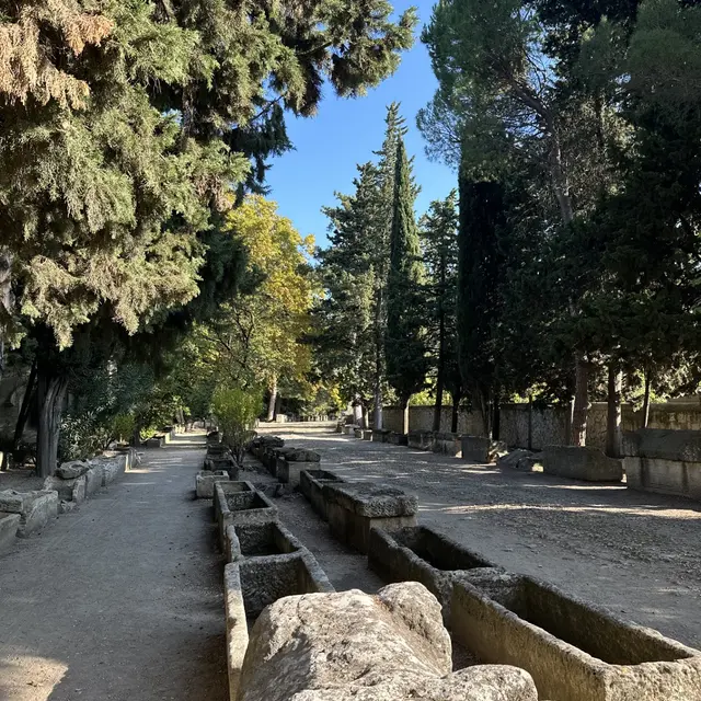 La nécropole des Alyscamps et l'église Saint Honnorat_Arles