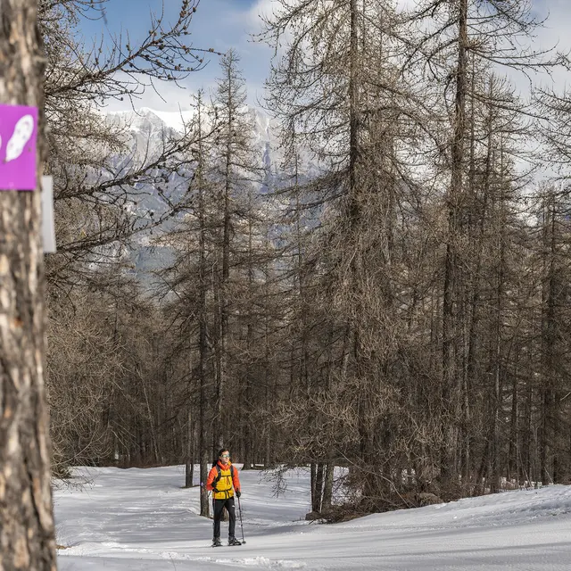 Itinéraire raquettes Le Sauze 1400 - Le Sauze 1700