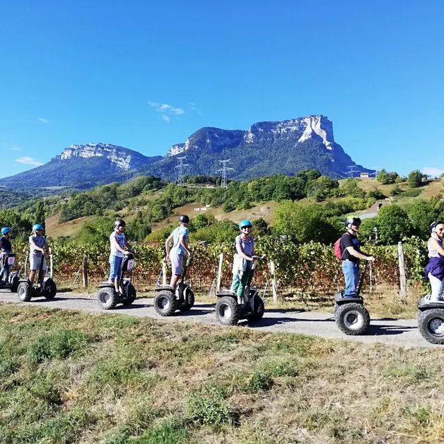 Balade dans les vignobles