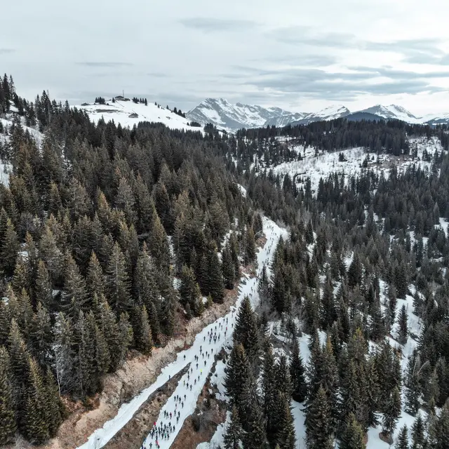 Trail de l'Aigle Blanc