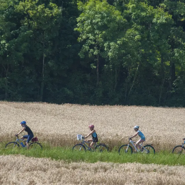Sports Loisirs Rovorée La Châtaignière 260716-1-© Dep74 - L. Guette (2)