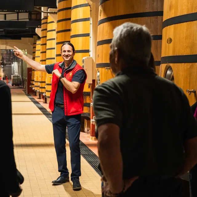 visite-terres-initation-terres-de-syrah