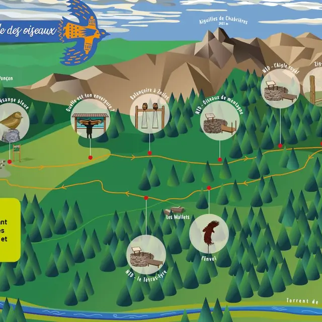 Plan le peuple des oiseaux