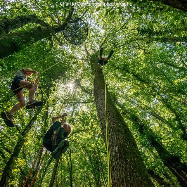 Accrobranche en terrain d'aventure