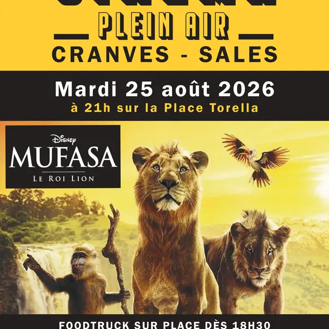 cinéma plein air Mufasa.jpg
