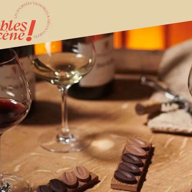 Atelier spécial chocolats & vins - cité du chocolat_Tain-l'Hermitage