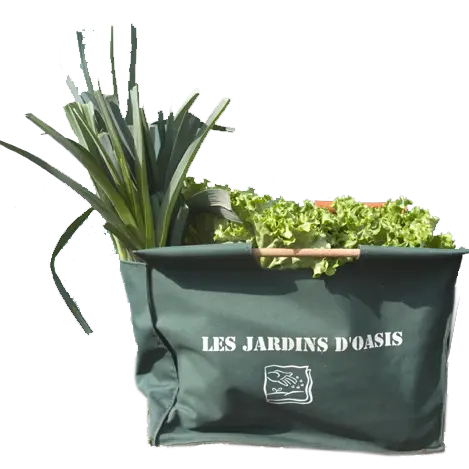 Marché Bio Oasis