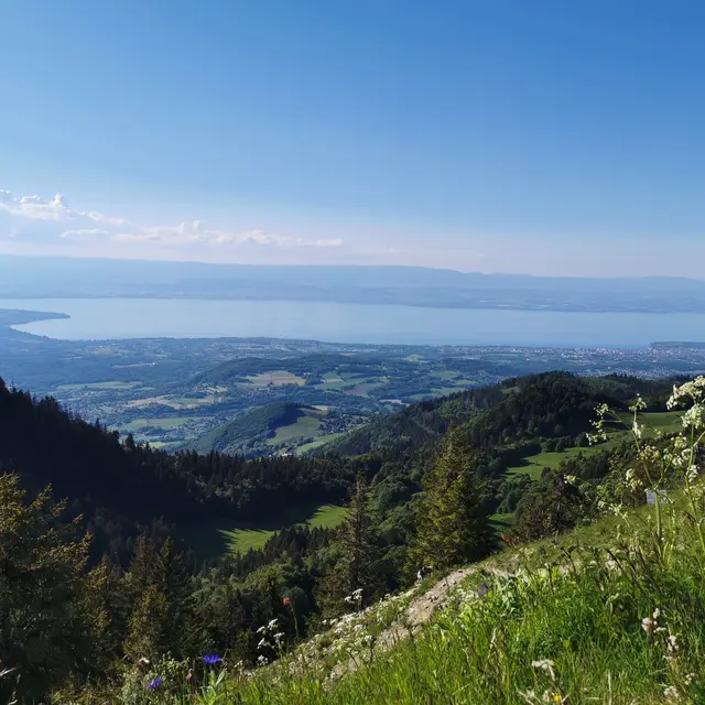 le Mont Forchat_Habère-Poche