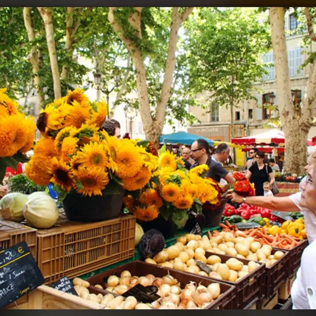 Provence Amazing Tours Marseille