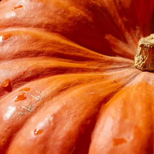 Citrouille