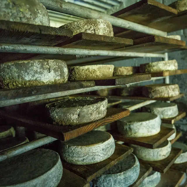 Alpage de l'Airon - Les Carroz