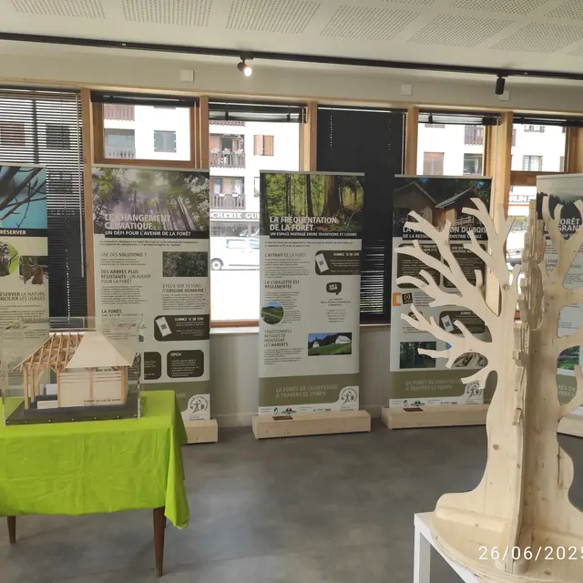 Exposition : un héritage de 900 ans de gestion forestière_Saint-Pierre-de-Chartreuse