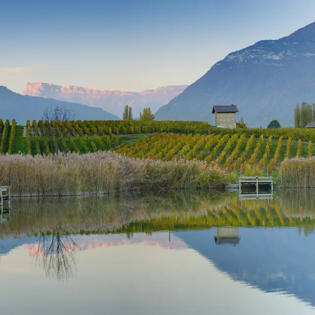 GR®965 en Chartreuse - Sur les pas des Huguenots de Grenoble à Chambéry_Plateau des Petites Roches