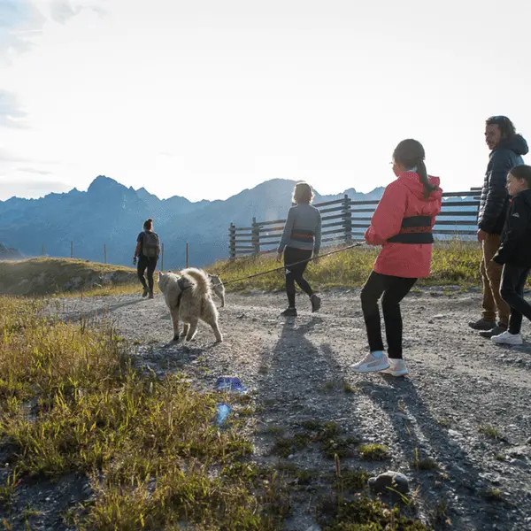 Cani randonnée et apéritif à O Chamb’ô_La Toussuire