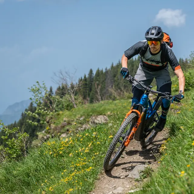 Descente Arav'e Bike