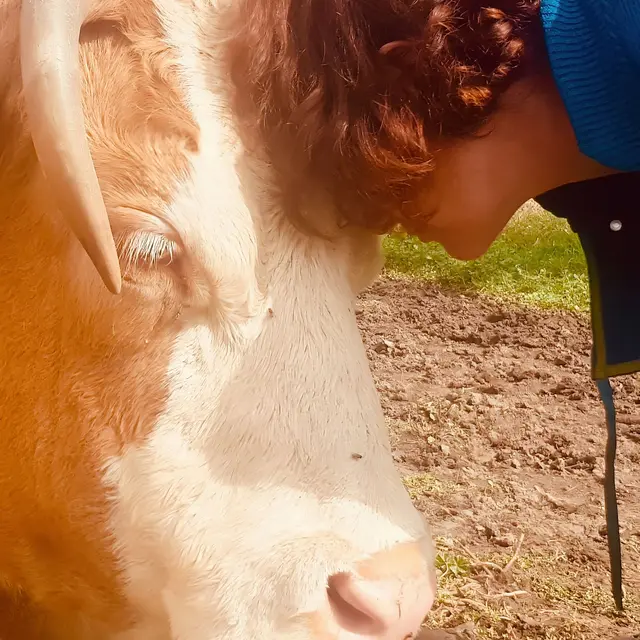 Merveille_Vendranges