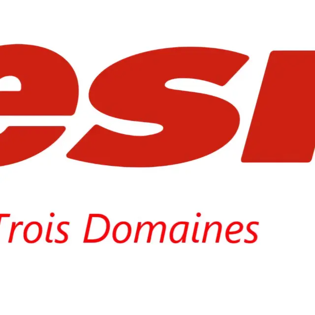 LOGO ESF AX.jpg