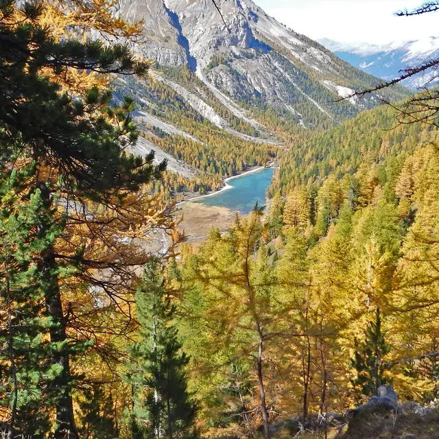 Les chalets de la Taure_Villar-Saint-Pancrace