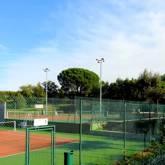 courts