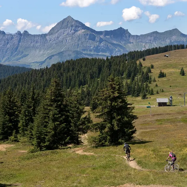 dh-vtt-les-saisies-la-coyote