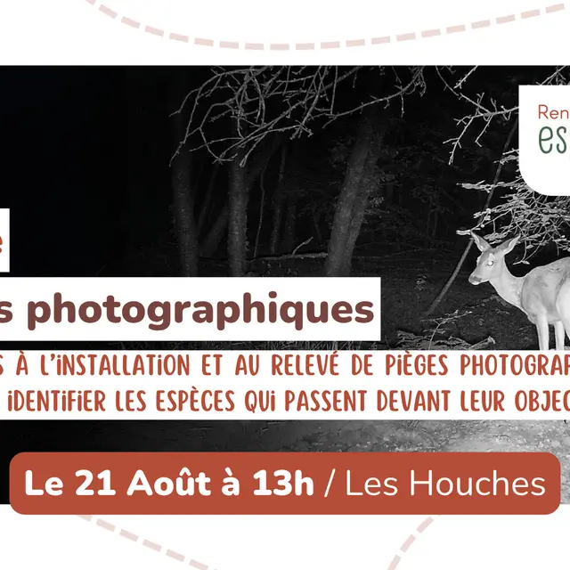 Sortie nature - Pièges photographiques_Les Houches