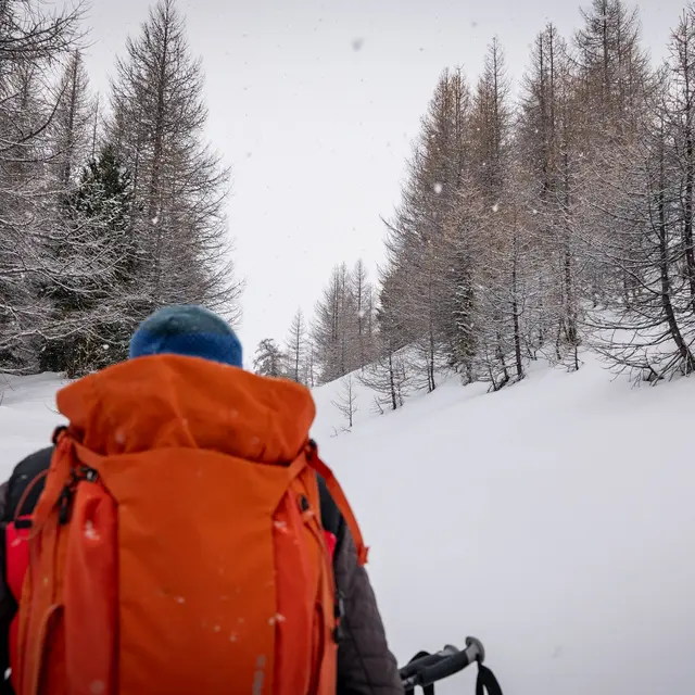 Sentier n°9 - Peynier_Vars