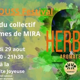 Decouvrir le couscous El M'zeyet_Marseille