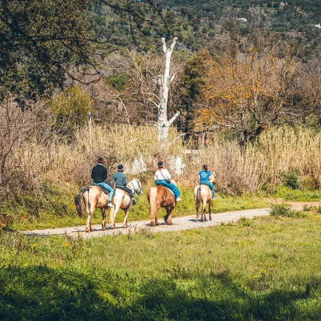 Balade à cheval & dégustation de vins_Grimaud