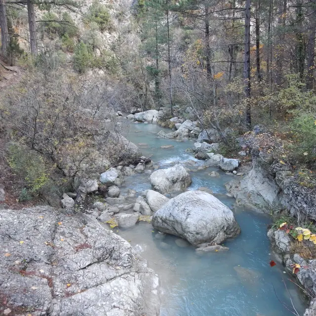 VTT n°6 - L'Estoublaïsse