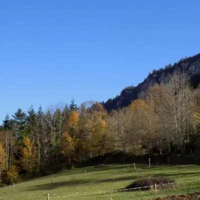 Montagne et forêt