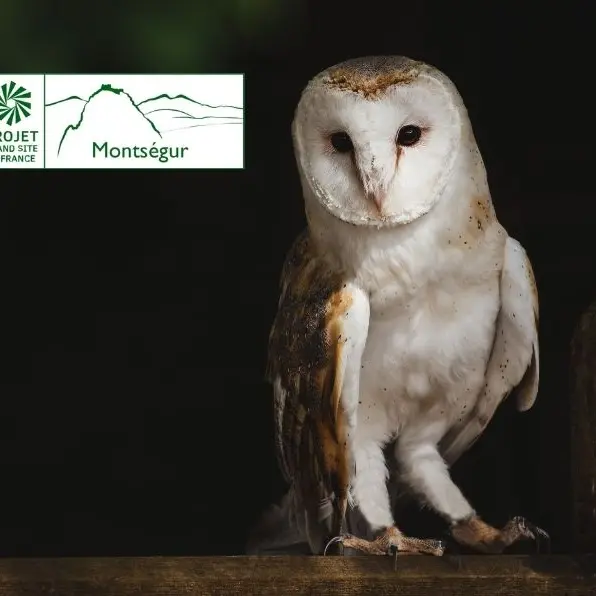 Balade au crépuscule à la découverte des rapaces nocturnes_Lieurac