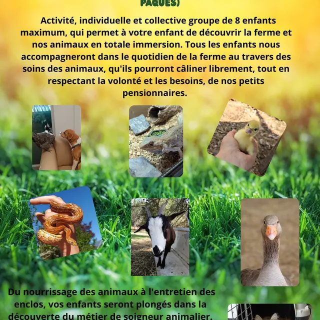 Stage Petit Fermier à La Bastidonne_La Bastidonne