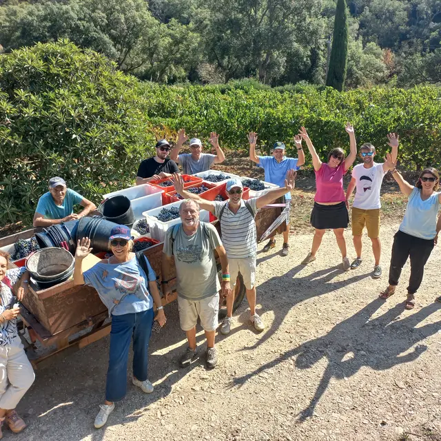 Journée découverte des vendanges