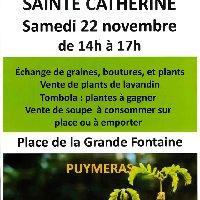 Fête de la Sainte Catherine_Puyméras