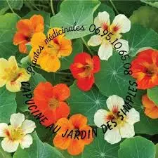 Herboristerie Capucine eu Jardin des simples