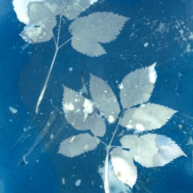 Au labo du Château : I've got the bleu !