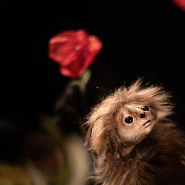 Sur les pas d'Oodaaq_Roanne