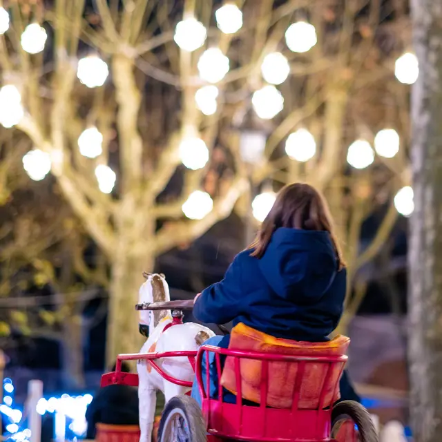 Les petits sulkys_Vichy